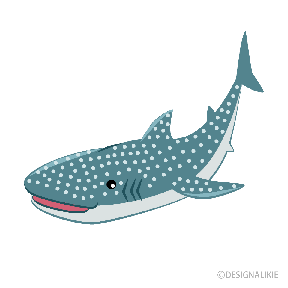 Cute Whale Shark