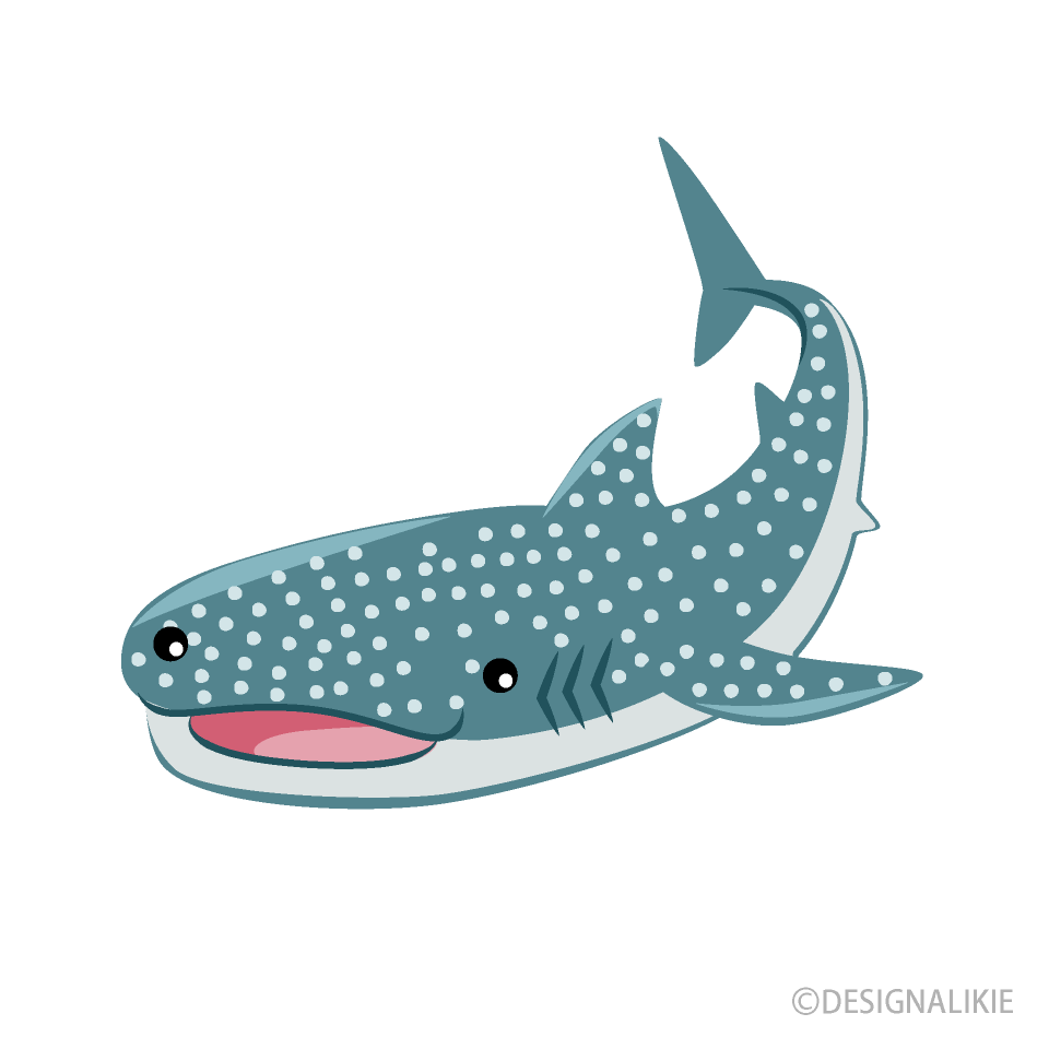 Cute Whale Shark