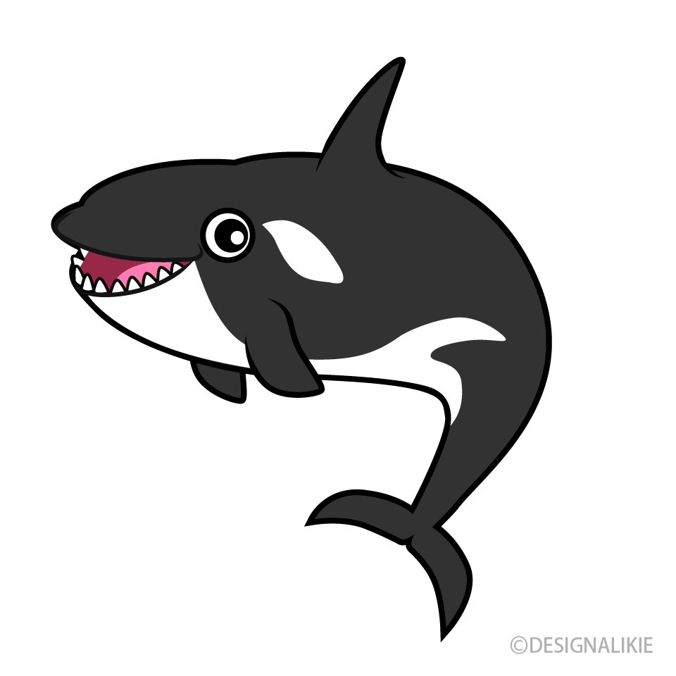 Killer Whale