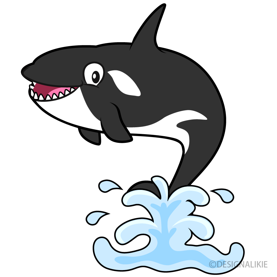 Jumping Killer Whale