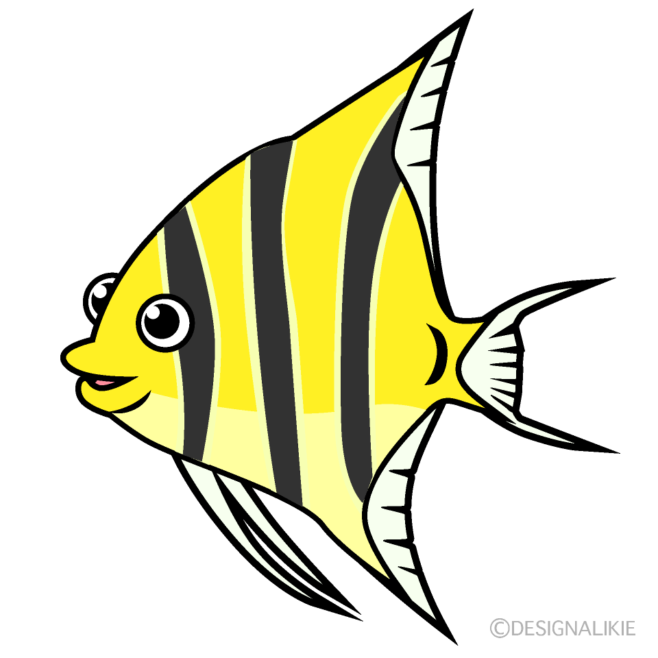 Tropical Fish