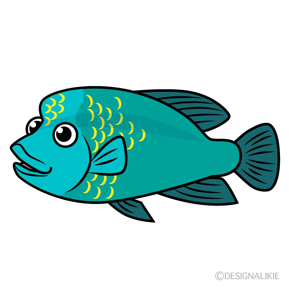 Tropical Fish