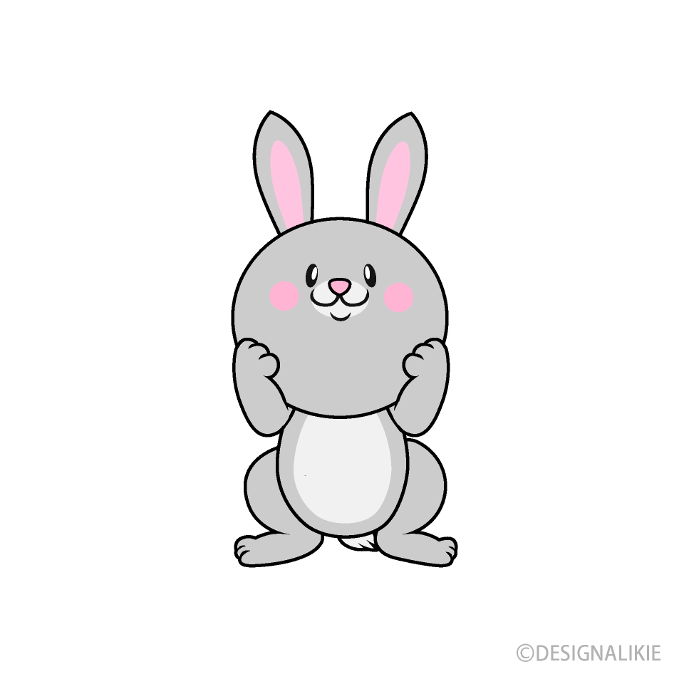 Cute Rabbit