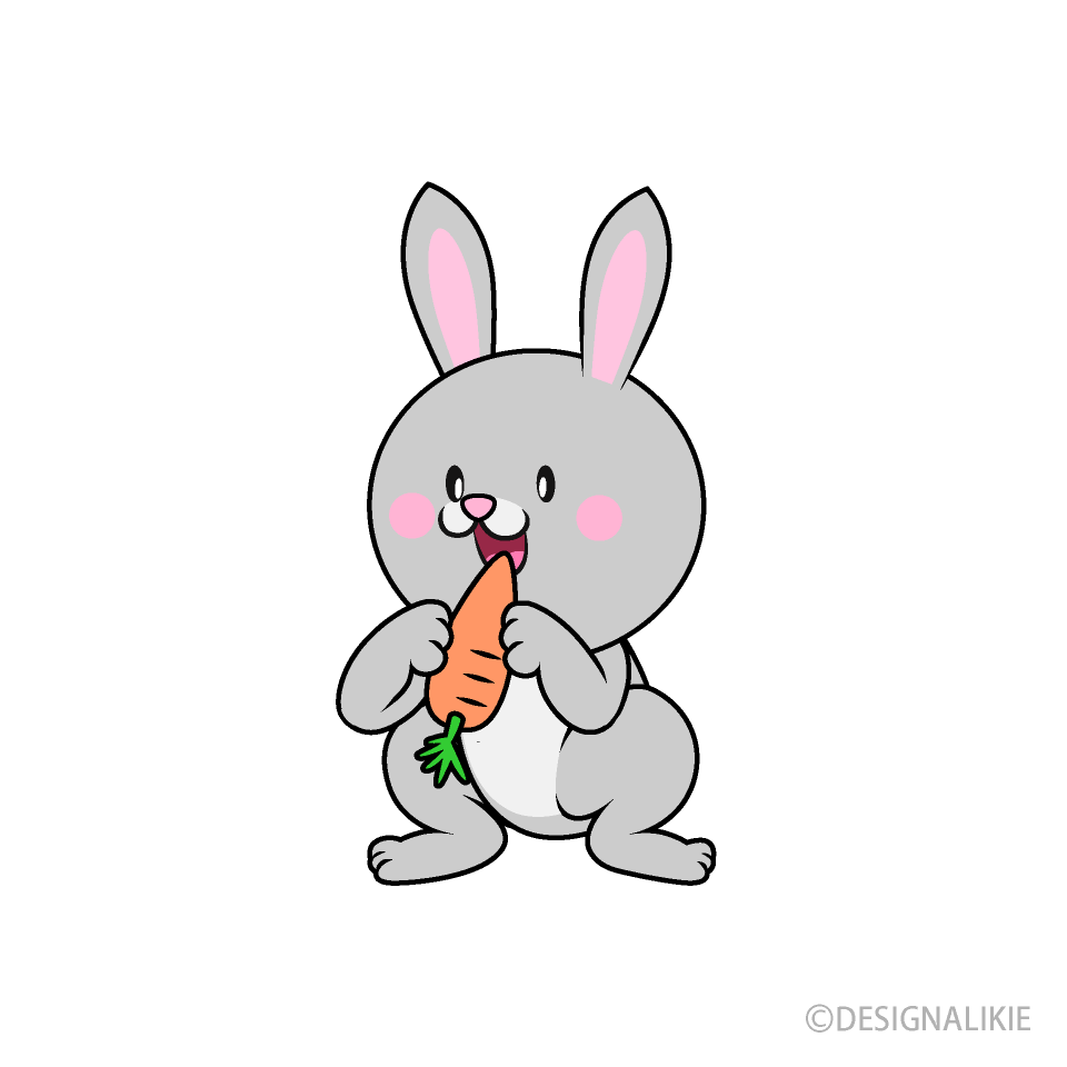 Rabbit Eating Carrot