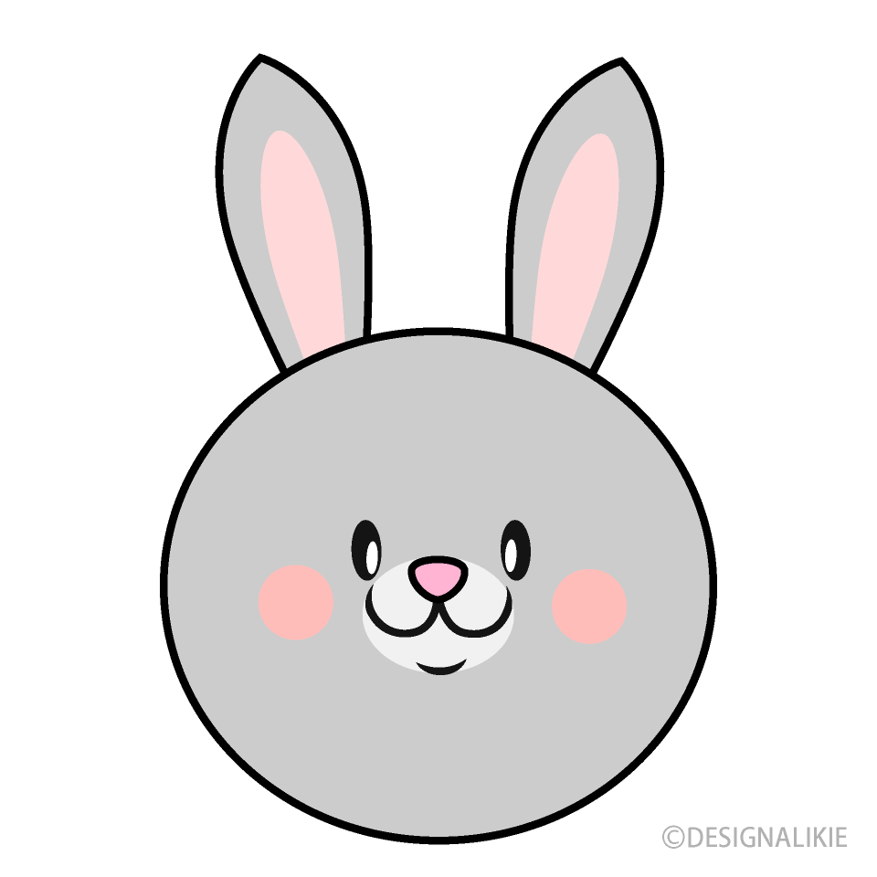 Rabbit Face