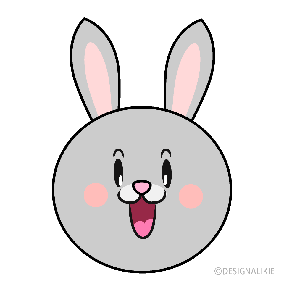 Amazing Rabbit Face