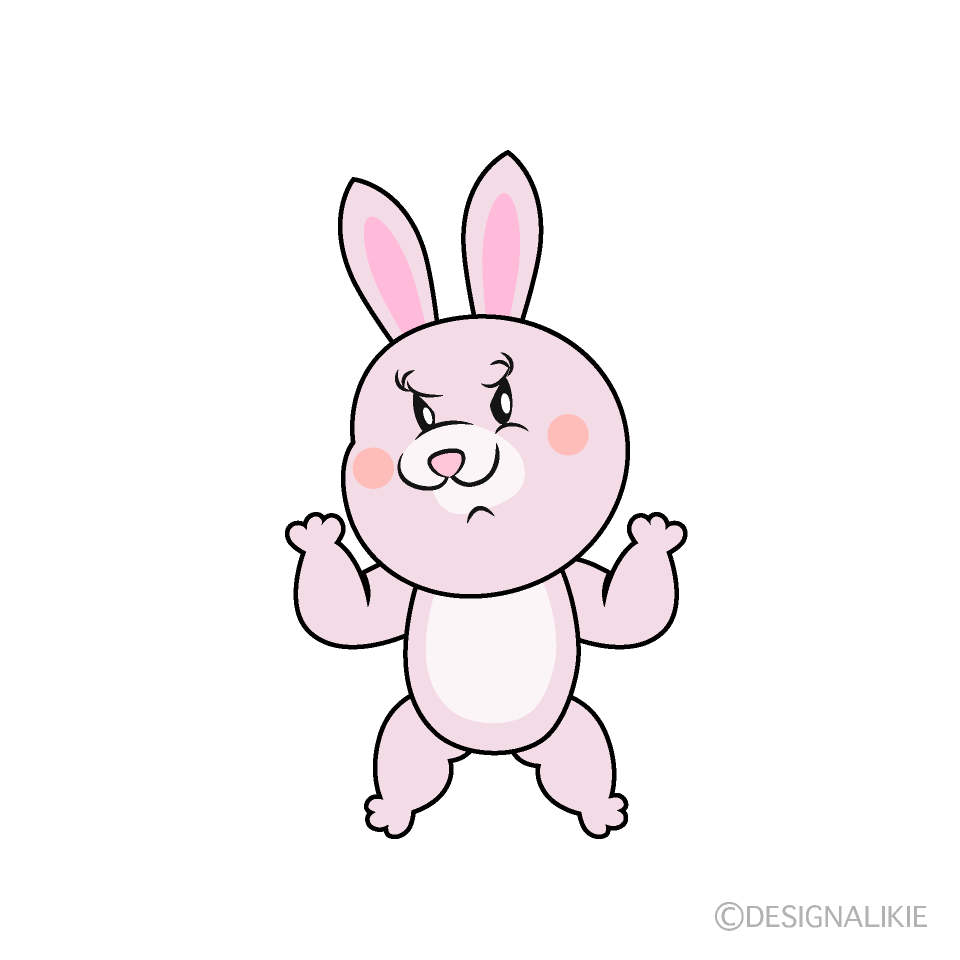 Angry Bunny