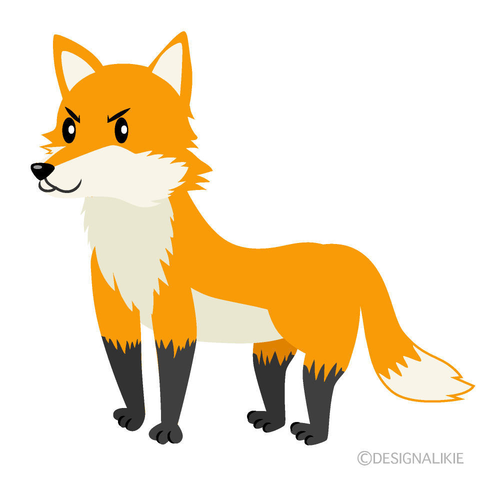 Fox