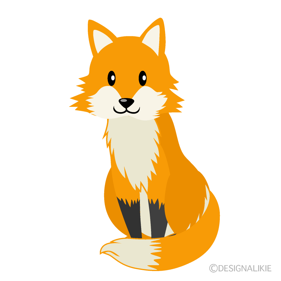 Staring Fox