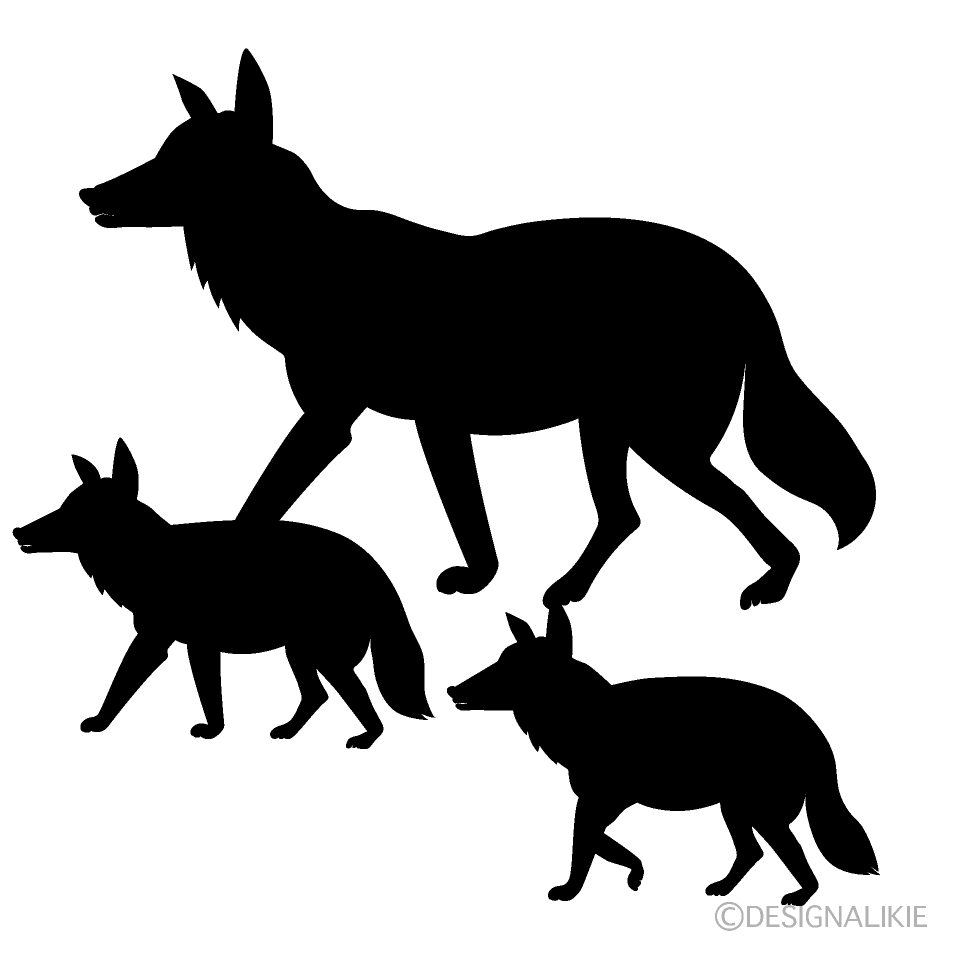 Zorro y Cachorro de Zorro