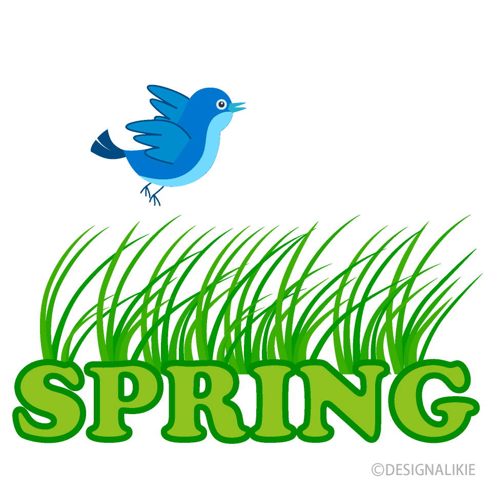 Bird SPRING