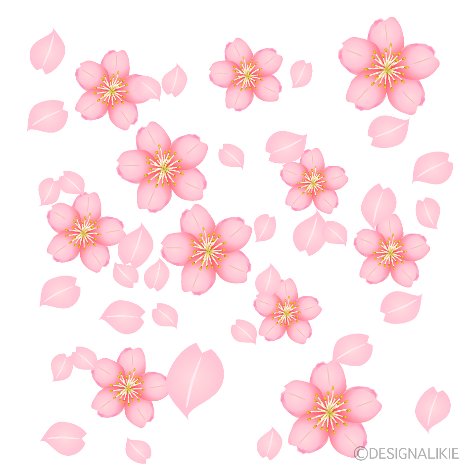 Cinta Simple de Flores de Cerezo