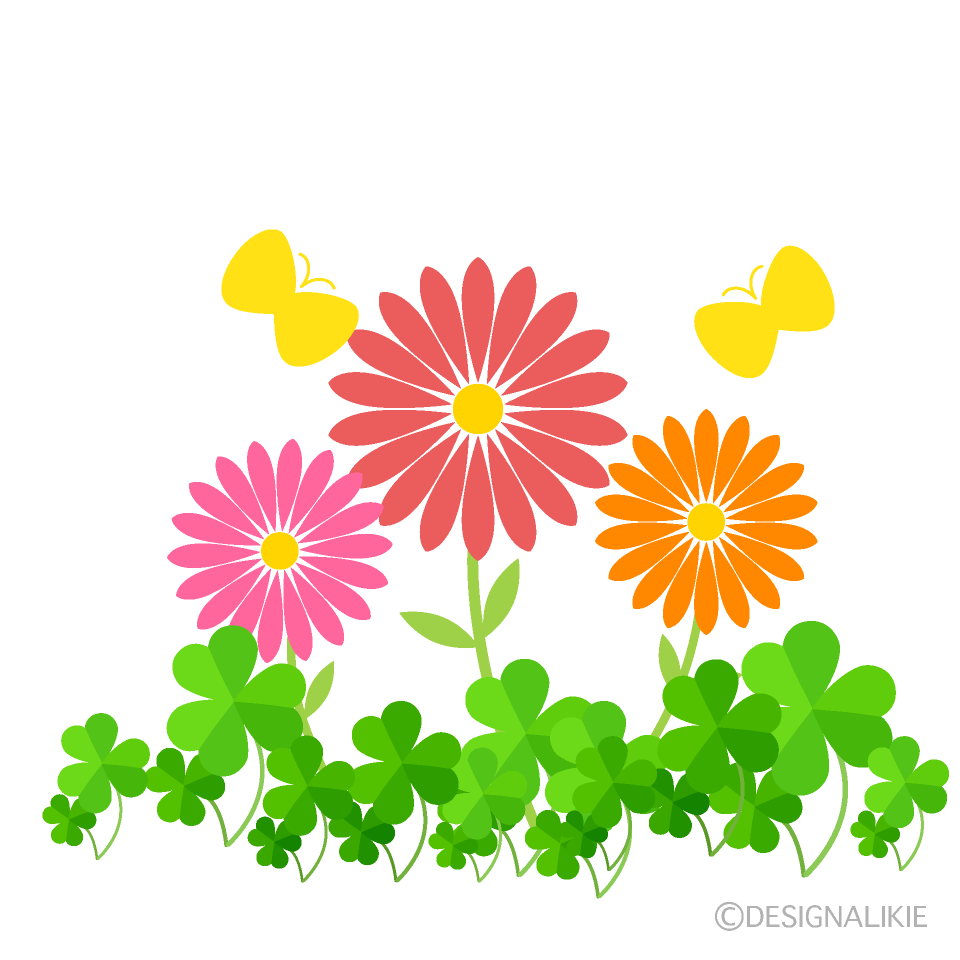 Flowers and Shamrock