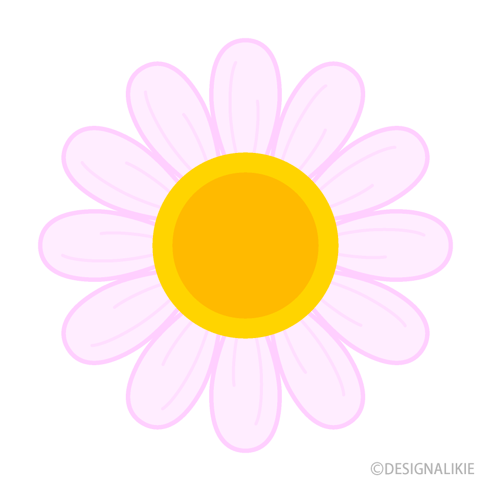 Cute Light Pink Daisy