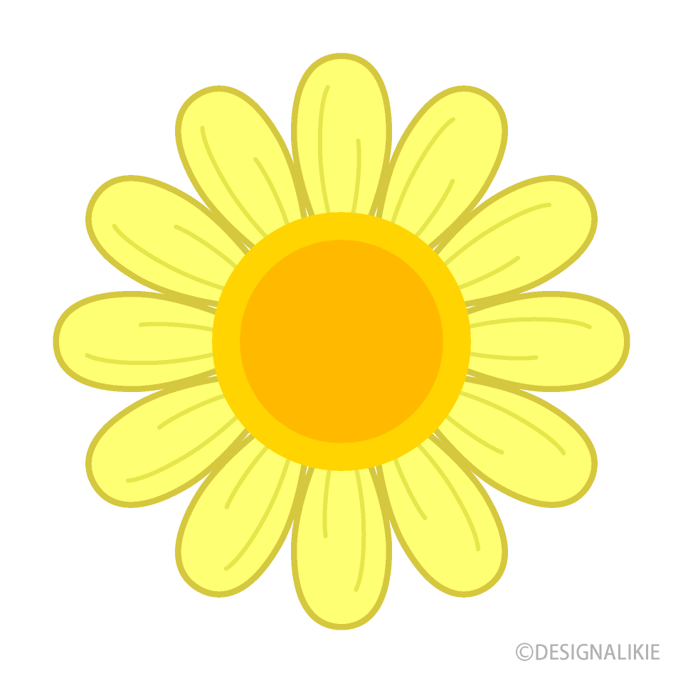 Cute Yellow Daisy