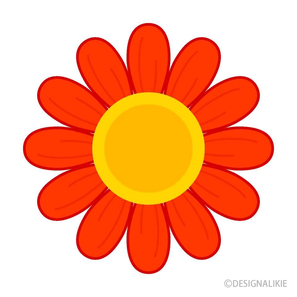 Cute Red Daisy