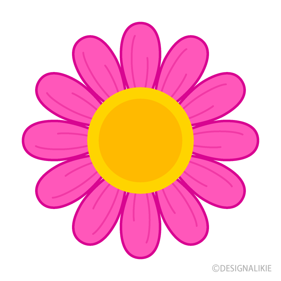 Cute Pink Daisy