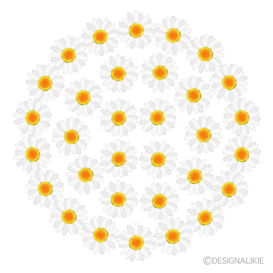 Daisy Circle