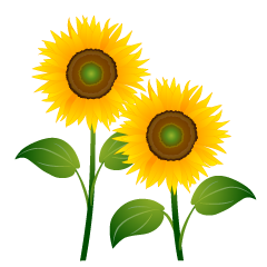 Dos Girasoles