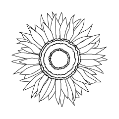 Flor de Girasol en Blanco y Negro