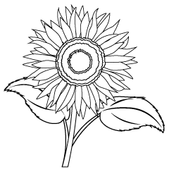 Girasol en Blanco y Negro