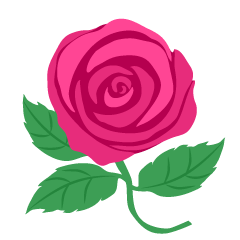 Pink Rose