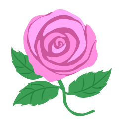 Light Pink Rose