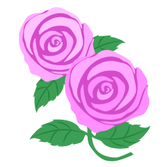 Light Pink Roses