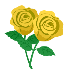 Yellow Rose Flowers