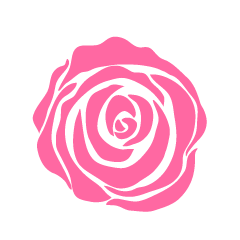 Pink Rose Flower