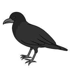 Crow