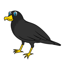 Crow