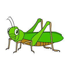 Locust