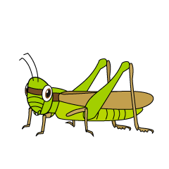 Locust