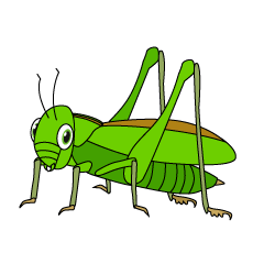 Grasshopper