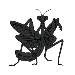 Menacing Mantis