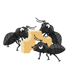 Hormigas Comiendo