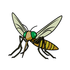 Brown Mosquito