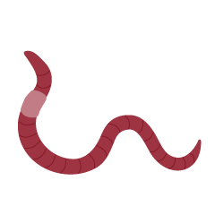 Earthworm