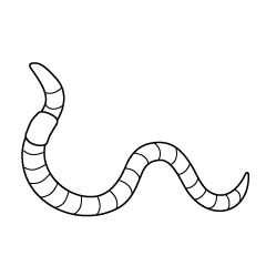 Earthworm