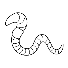 Thick Earthworm