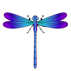 Blue and Purple Dragonfly