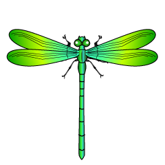 Libélula Amarilla y Verde