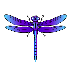 Blue and Purple Dragonfly