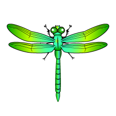 Libélula Verde Amarilla