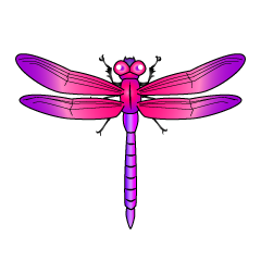 Pink and Purple Dragonfly
