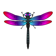 Blue and Pink Dragonfly