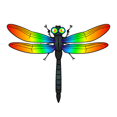 Rainbow Dragonfly