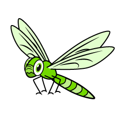 Yellow Green Dragonfly