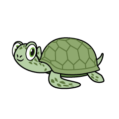 Green Sea Turtle